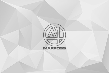 MARPOSS RECOGNIZED FOR "OUTSTANDING GLOBAL PERFORMANCE" BY DAIMLERCHRYSLER AG